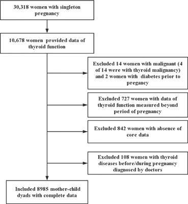 Associations Between Maternal Thyroid Function and Birth Outcomes in Chinese Mother-Child Dyads: A Retrospective Cohort Study